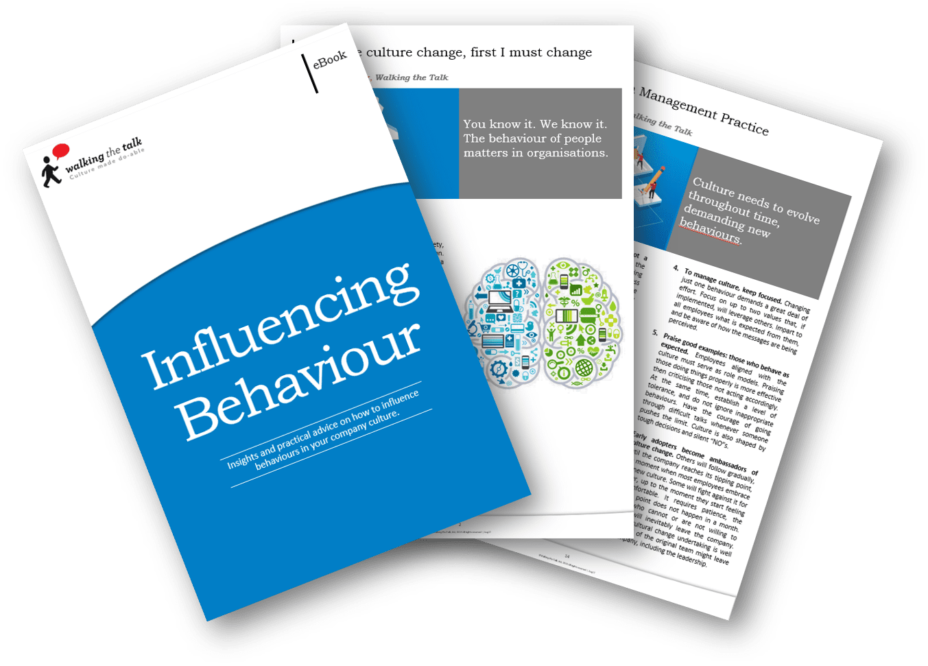 Influencing Behaviour EBook Mindfulness At Work